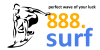 surf300.png