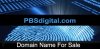 pbsdigital.com.jpg
