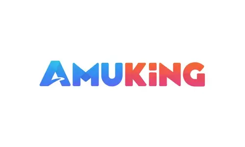 logo-image-91316-amuking.webp