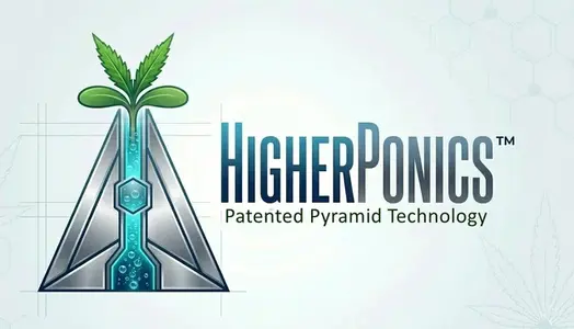 cannabis sprout resized.webp