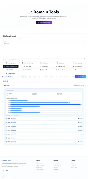 Screenshot 2026-04-21 at 03-58-38 Domain Tools — Professional Domain Analysis & Research Tool...webp