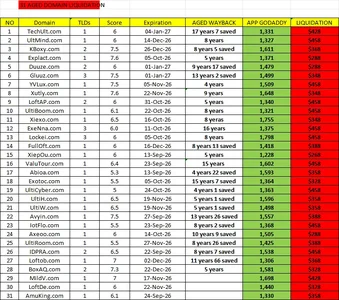 SS 31 LIQUIDATION GD.webp