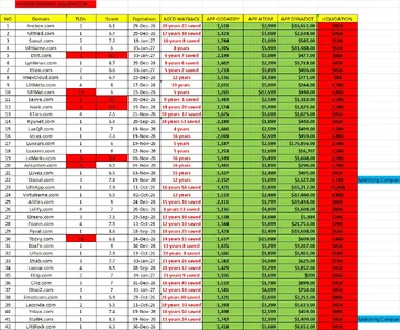 42NEWAGEDDOMAIN_LIQUIDATION.webp