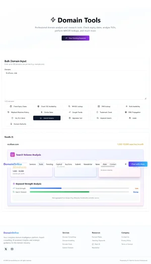 Screenshot 2026-05-03 at 23-34-09 Domain Tools — Professional Domain Analysis & Research Tool...webp