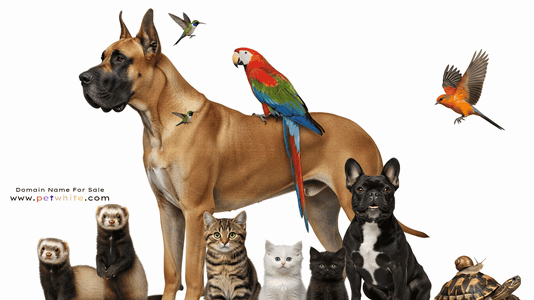petwhite.com.gif