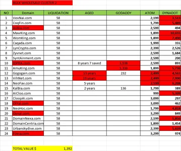 BULK WHOLESALE PLUS CLUSTER 2.webp