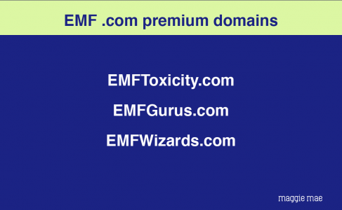 EMF Premium .Com Domains.png