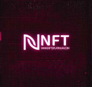 nftsplatinum.com Logo1.PNG