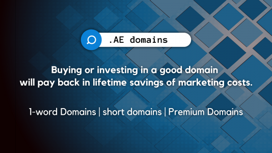 the power of premium AE domains.png