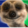 DSRon