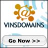 vinsdomains.com