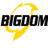 bigdomainer