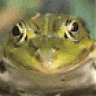 Har