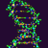 DNA