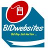 bidwebsites.com