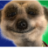 DSRon