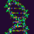 DNA