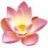Vijaya
